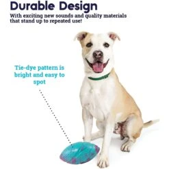 Petstages Grunt N Punt Football Dog Toy, Blue & Pink -Blue Buffalo Shop 280174 PT3. AC SS1800 V1636517208