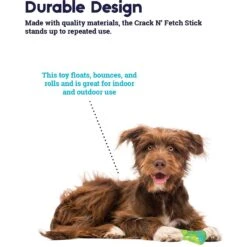 Petstages Crack N Fetch Stick Dog Chew Toy 14 Petstages Crack N Fetch Stick Dog Chew Toy -Blue Buffalo Shop 280177 PT3. AC SS1800 V1636521988