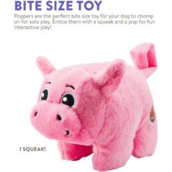 Charming Pet Poppers Pig Plush Dog Toy, Pink, X-Small -Blue Buffalo Shop 280230 PT4. AC SS1800 V1618932136