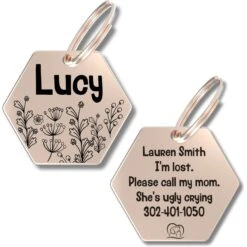 PawFurEver Hexagon Personalized Dog ID Tag