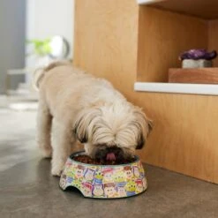 Pixar Toy Story Non-Skid Stainless Steel With Melamine Stand Dog & Cat Bowl -Blue Buffalo Shop 280641 PT2. AC SS1800 V1629986726