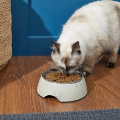 STAR WARS TIE FIGHTER Non-Skid Stainless Steel With Melamine Stand Dog & Cat Bowl -Blue Buffalo Shop 280651 PT3. AC SS1800 V1629986665