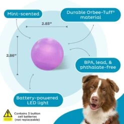 Planet Dog Orbee-Tuff Strobe Ball Light Up LED Dog Toy -Blue Buffalo Shop 281727 PT2. AC SS1800 V1646769091