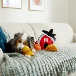 Frisco Fall Farmhouse Hide & Seek Puzzle Plush Squeaky Dog Toy 9 Frisco Fall Farmhouse Hide & Seek Puzzle Plush Squeaky Dog Toy -Blue Buffalo Shop 285629 PT3. AC SS1800 V1629725107