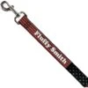 Buckle-Down Personalized Dog Leash, Vintage US Flag Stretch