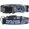 Buckle-Down Polyester Personalized Dog Collar, Paisley Blue & White -Blue Buffalo Shop 285884 MAIN. AC SS1800 V1657656552