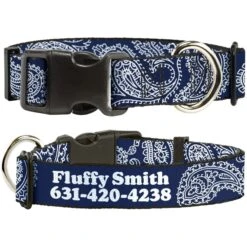 Buckle-Down Polyester Personalized Dog Collar, Paisley Blue & White