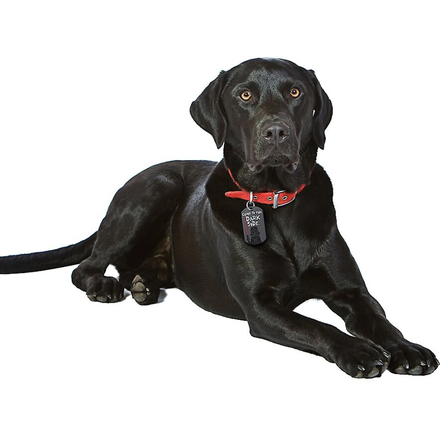 Quick-Tag Star Wars Darth Vader Dark Side Military Personalized Dog & Cat ID Tag 6 Quick-Tag Star Wars Darth Vader Dark Side Military Personalized Dog & Cat ID Tag - Image 4