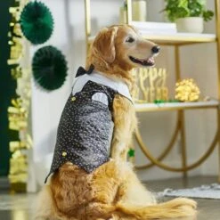 Wagatude Star Print Dog Vest -Blue Buffalo Shop 286844 PT5. AC SS1800 V1631064736