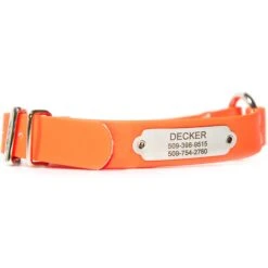 GoTags Personalized Sporting Dog Collar