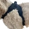 Labra Dog Chest Harness