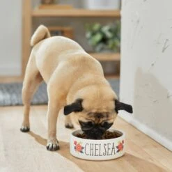 Frisco Flower Ceramic Personalized Dog Bowl -Blue Buffalo Shop 286985 PT2. AC SS1800 V1625764713