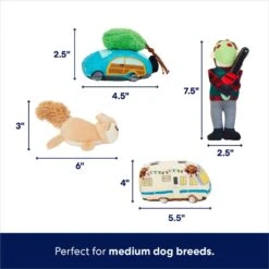 Frisco Holiday House Hide & Seek Puzzle Plush Squeaky Dog Toy 11 Frisco Holiday House Hide & Seek Puzzle Plush Squeaky Dog Toy -Blue Buffalo Shop 287083 PT2. AC SS1800 V1695046042