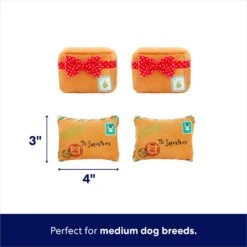 Frisco Holiday North Pole Mailbox Hide & Seek Puzzle Plush Squeaky Dog Toy 10 Frisco Holiday North Pole Mailbox Hide & Seek Puzzle Plush Squeaky Dog Toy -Blue Buffalo Shop 287095 PT2. AC SS1800 V1695043914