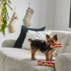 Frisco Holiday Bacon Plush Squeaky Dog Toy, 2 Count 7 Frisco Holiday Bacon Plush Squeaky Dog Toy, 2 Count -Blue Buffalo Shop 287143 PT3. AC SS1800 V1632774888