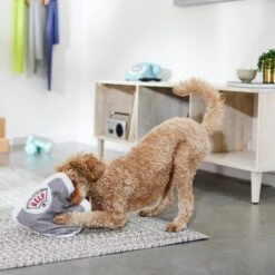 Frisco Scale Plush Squeaky Dog Toy 7 Frisco Scale Plush Squeaky Dog Toy -Blue Buffalo Shop 288911 PT3. AC SS1800 V1638289585