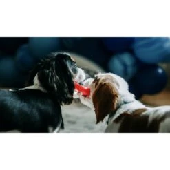 Sweet Paws Santa Paws Stack Wearable Puppy Teether Dog Toy, 4 Count 14 Sweet Paws Santa Paws Stack Wearable Puppy Teether Dog Toy, 4 Count -Blue Buffalo Shop 289061 PT3. AC SS1800 V1626816112