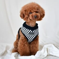 Puppia Racer A Dog Harness -Blue Buffalo Shop 289120 PT2. AC SS1800 V1619107627