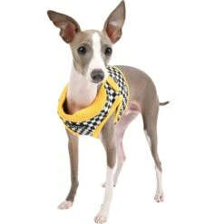 Puppia Racer B Dog Harness -Blue Buffalo Shop 289141 PT3. AC SS1800 V1619107013