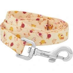 Disney Princess Belle Dog Leash
