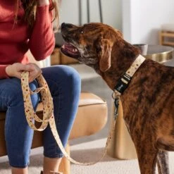 Disney Princess Belle Dog Leash -Blue Buffalo Shop 289385 PT8. AC SS1800 V1634305148