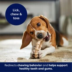 Frisco Ring Tough Nylon Chew Dog Toy, Chicken Flavor 12 Frisco Ring Tough Nylon Chew Dog Toy, Chicken Flavor -Blue Buffalo Shop 290533 PT4. AC SS1800 V1695760990