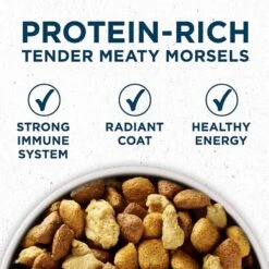 Purina ONE Natural Large Breed +Plus Formula Dry Dog Food & Milk-Bone Original Large Biscuit Dog Treats 12 Purina ONE Natural Large Breed +Plus Formula Dry Dog Food & Milk-Bone Original Large Biscuit Dog Treats -Blue Buffalo Shop 293546 PT3. AC SS1800 V1620089839