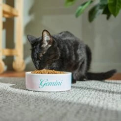 Frisco Watercolors Ceramic Personalized Dog Bowl 12 Frisco Watercolors Ceramic Personalized Dog Bowl -Blue Buffalo Shop 296664 PT3. AC SS1800 V1625764646