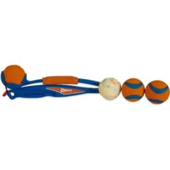 Chuckit! National Fetch Day Gearbox Dog Toy 9 Chuckit! National Fetch Day Gearbox Dog Toy -Blue Buffalo Shop 297206 PT2. AC SS1800 V1626732380