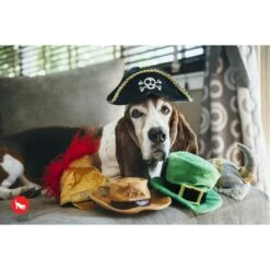 P.L.A.Y. Pet Lifestyle And You Mutt Hatter Squeaky Dog Toy, 5 Count 12 P.L.A.Y. Pet Lifestyle And You Mutt Hatter Squeaky Dog Toy, 5 Count -Blue Buffalo Shop 297626 PT2. AC SS1800 V1621035731