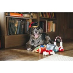 P.L.A.Y. Pet Lifestyle And You Back To School Squeaky Dog Toy, 5 Count 12 P.L.A.Y. Pet Lifestyle And You Back To School Squeaky Dog Toy, 5 Count -Blue Buffalo Shop 297628 PT2. AC SS1800 V1621032535