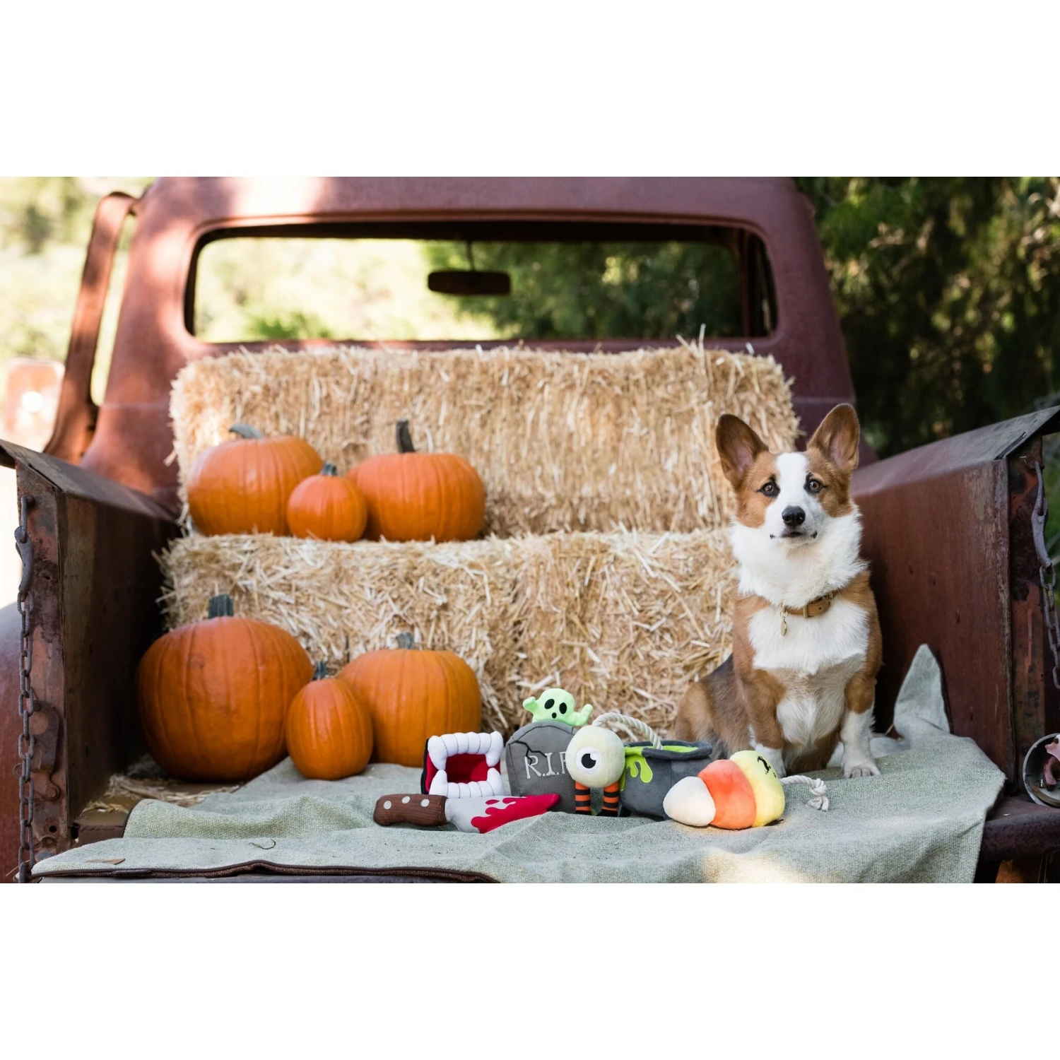 P.L.A.Y. Pet Lifestyle And You Howling Haunts Squeaky Dog Toy, 5 Count 5 P.L.A.Y. Pet Lifestyle And You Howling Haunts Squeaky Dog Toy, 5 Count - Image 3