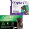 Capstar Flea Oral Treatment For Dogs, Over 25 Lbs & Onguard Plus Flea & Tick Spot Treatment For Dogs, 89-132 Lbs -Blue Buffalo Shop 297658 MAIN. AC SS1800 V1626731782