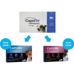 Capstar Flea Oral Treatment For Dogs, 2-25 Lbs & Elanco Dewormer For Tapeworms For Dogs -Blue Buffalo Shop 297860 PT4. AC SS1800 V1640039482