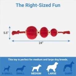 Frisco Lunar New Year Lantern Plush With Rope Squeaky Dog Toy -Blue Buffalo Shop 298885 PT1. AC SS1800 V1673964150