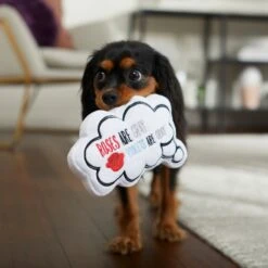 Frisco Valentine Be My Valentine Thought Bubble Reversible Plush Squeaky Dog Toy 10 Frisco Valentine Be My Valentine Thought Bubble Reversible Plush Squeaky Dog Toy -Blue Buffalo Shop 298947 PT3. AC SS1800 V1638987445