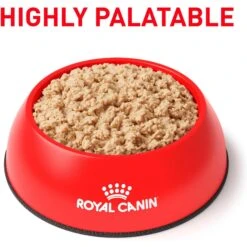 Royal Canin Veterinary Diet Recovery Ultra Soft Mousse In Sauce Wet Dog & Cat Food -Blue Buffalo Shop 299281 PT2. AC SS1800 V1684411830