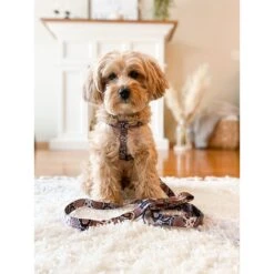 Boulevard Snake Dog Leash 7 Boulevard Snake Dog Leash -Blue Buffalo Shop 299677 PT5. AC SS1800 V1628718416