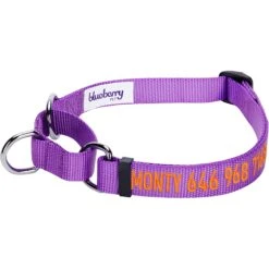 Blueberry Pet Safety Training Personalized Martingale Dog Collar