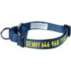 Blueberry Pet Essentials Safety Training Personalized Martingale Dog Collar -Blue Buffalo Shop 300426 MAIN. AC SS1800 V1623129757