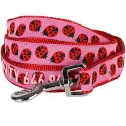 Blueberry Pet Webbing Ladybug Designer Personalized Standard Dog Leash