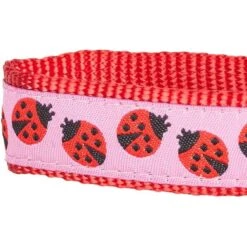 Blueberry Pet Webbing Ladybug Designer Personalized Standard Dog Leash -Blue Buffalo Shop 300606 PT3. AC SS1800 V1623125547