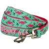 Blueberry Pet Flamingo Personalized Standard Dog Leash -Blue Buffalo Shop 300611 MAIN. AC SS1800 V1623147167
