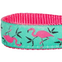 Blueberry Pet Flamingo Personalized Standard Dog Leash 9 Blueberry Pet Flamingo Personalized Standard Dog Leash -Blue Buffalo Shop 300611 PT2. AC SS1800 V1623147780
