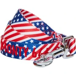 Blueberry Pet American Flag Personalized Standard Dog Leash