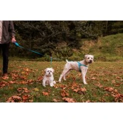 Wigzi Retractable Coupler Dog Leash, Blue 13 Wigzi Retractable Coupler Dog Leash, Blue -Blue Buffalo Shop 301575 PT4. AC SS1800 V1626469599