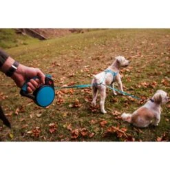 Wigzi Retractable Coupler Dog Leash, Blue 14 Wigzi Retractable Coupler Dog Leash, Blue -Blue Buffalo Shop 301575 PT5. AC SS1800 V1626473809