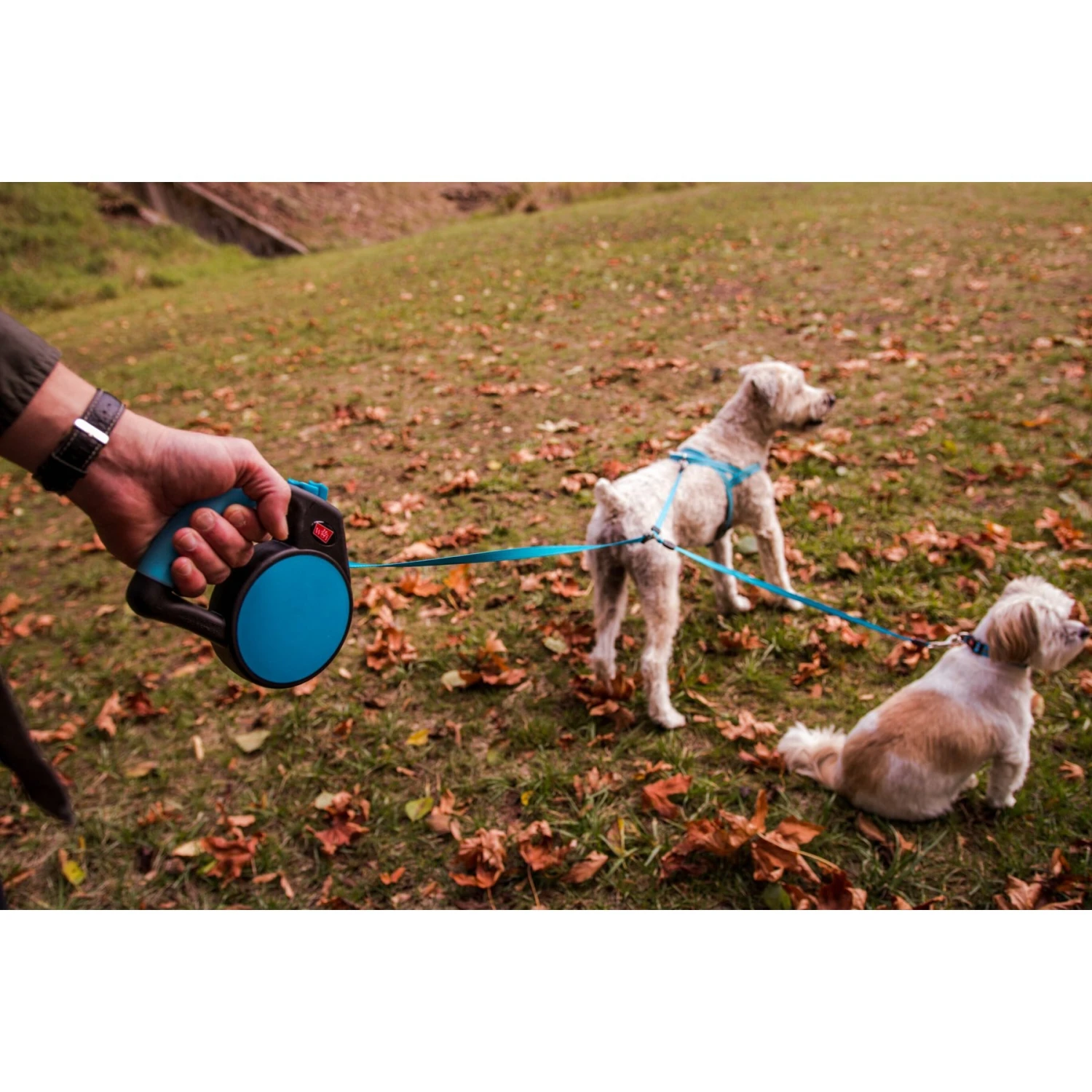 Wigzi Retractable Coupler Dog Leash, Blue 8 Wigzi Retractable Coupler Dog Leash, Blue - Image 6