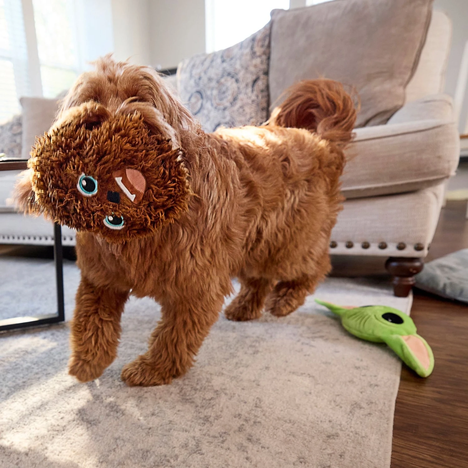 STAR WARS THE MANDALORIAN GROGU Round Plush Squeaky Dog Toy & STAR WARS CHEWBACCA Round Plush Squeaky Dog Toy 8 STAR WARS THE MANDALORIAN GROGU Round Plush Squeaky Dog Toy & STAR WARS CHEWBACCA Round Plush Squeaky Dog Toy - Image 6