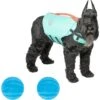 Frisco Active Dog Life Jacket & Frisco Foam Rubber Floating Fetch Ball No Squeak Dog Toy 1 Frisco Active Dog Life Jacket & Frisco Foam Rubber Floating Fetch Ball No Squeak Dog Toy -Blue Buffalo Shop 303364 MAIN. AC SS1800 V1623163652